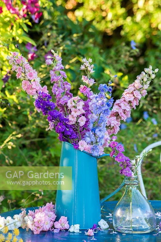 Delphinium consolida - Larkspur - displayed in pottery jug on garden table.