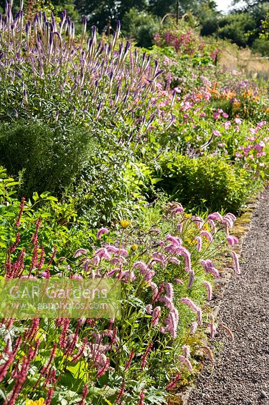 View of mixed perennial borders in pinks and oranges,  Floors Castle, Kelso, Roxburghshire, Scotland, UK. 