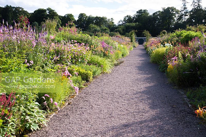 View down gravel pathway, surrounded by double perennial borders. Floors Castle, Kelso, Roxburghshire, Scotland, UK. 