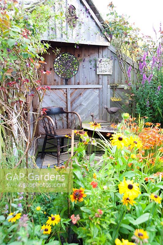 View over flowering Rudbeckia to seating area with wooden chair and table in cottage garden. Hilltop, Stour Provost, Dorset, UK. 