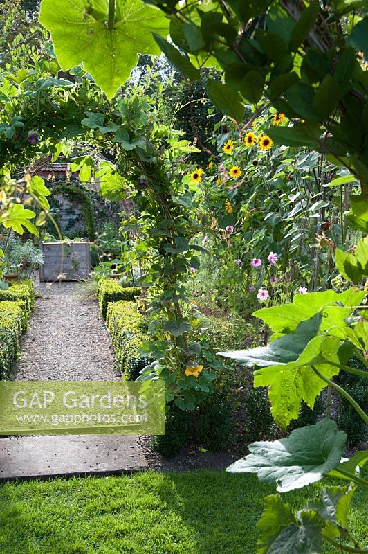 View through hazel arch into the Tunnel Garden. Heale House, Middle Woodford, Salisbury, Wilts, UK. 