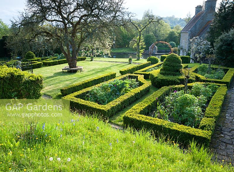 Overview of parterre planted with alliums, foxgloves and delphiniums. Job's Mill, Crockerton, Wiltshire, UK. 
