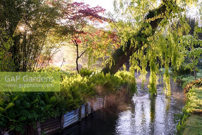 A weeping willow leans over a tributary of the River Avon in the Japanese garden at Heale House, Middle Woodford, Wiltshire 