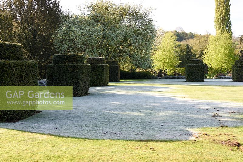 Sun melts frost on a lawn surrounded by yew blocks.  Heale House, Middle Woodford, Wiltshire