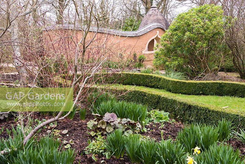 Low box hedge and garden wall by Matt Robinson. Caervallack Farm, St Martin, Helston, Cornwall, UK