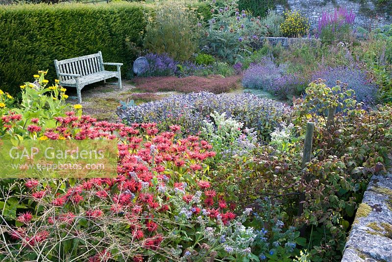 Sunken herb garden with monardas, Crambe cordifolia, sage and borage. Cider House, Buckland Abbey, Yelverton, Devon, UK