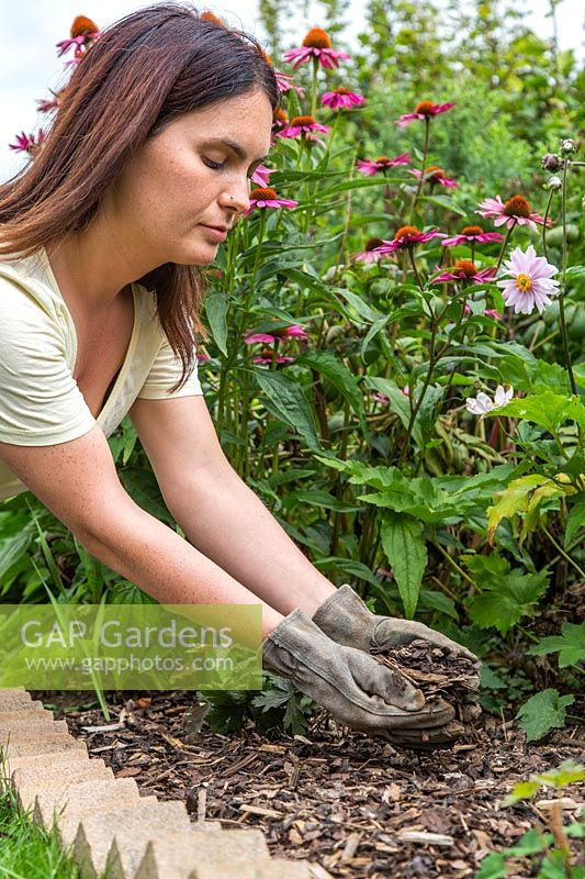 Woman adding bark chippings to border as mulch. 