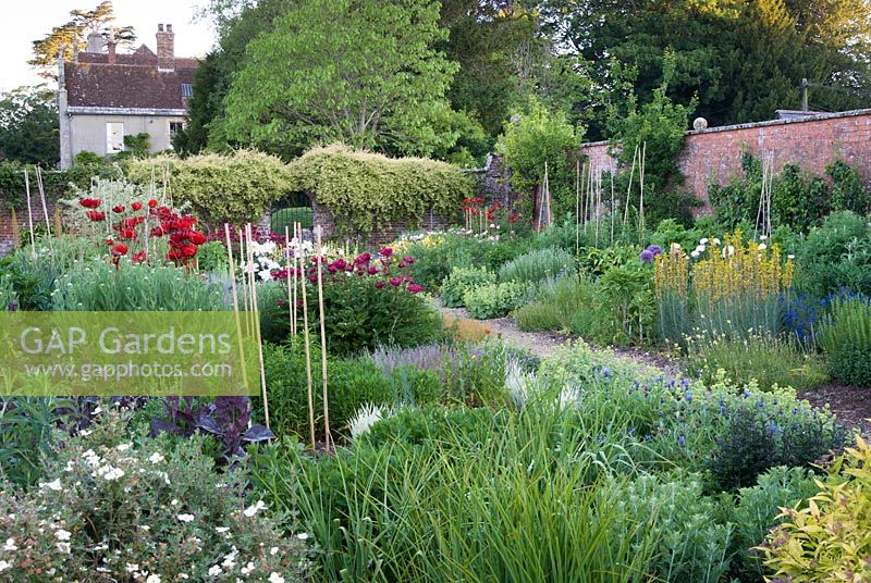 Kitchen garden with Papaver, peonies, Orache and Asphodeline. Edmondsham House, Cranborne, Dorset, UK