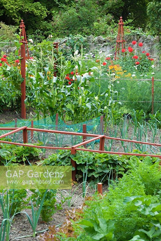Decorative vegetable plot with red painted wooden frames. 
