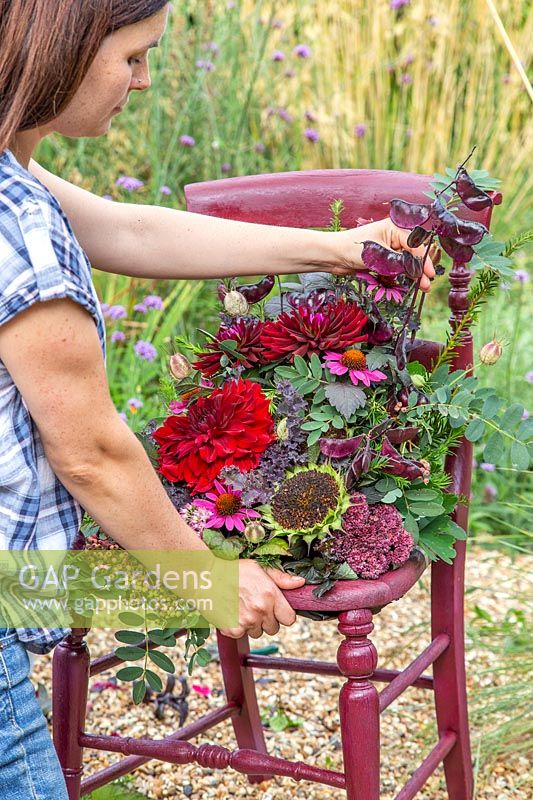 Woman adding lablab bean seedpods to floral arrangement on vintage dark red chair. 