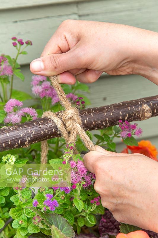 Using rope to fix baskets of bedding plants to vertical planter