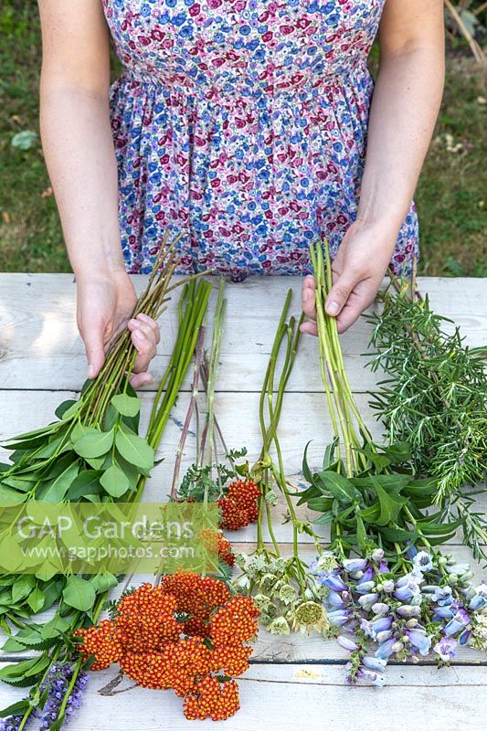 Ingredients ready and prepped for tying a bouquet, including Penstemon, Privet, Achillea, Agastache, Astrantia and Rosemary. 