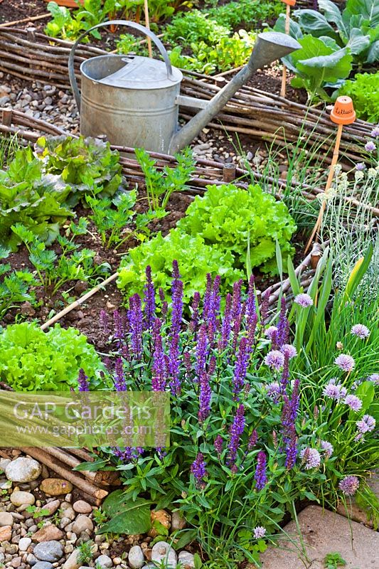 Mixed vegetable and herb borders  