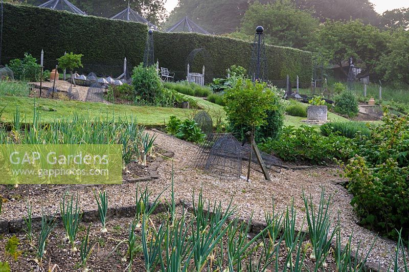 Formal vegetable garden at the Old Rectory, Netherbury, UK. 