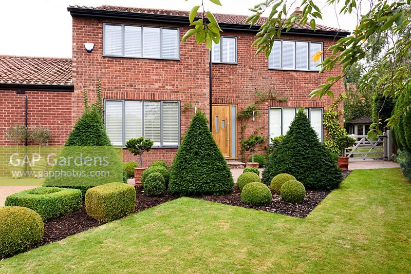 Front garden with strong evergreen planting of clipped box spheres and cubes and yew pyramids designed by Sarah Murch. 