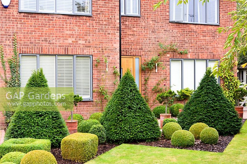 Front garden with strong evergreen planting of clipped box spheres and cubes and yew pyramids designed by Sarah Murch.
