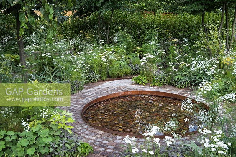 'Health and Wellbeing Garden' Sponsored by CED Ltd Majestic Trees Marshal Murray, RHS Hampton Flower Show, 2018.