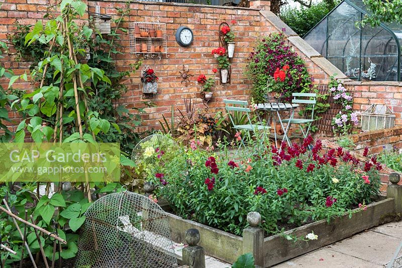 A partly-walled potager of raised beds, planted with climbing beans and 
Antirrhinum majus - snapdragons. The corner of walled area has small seating area with wall used for clematis, pelargoniums and ornaments

