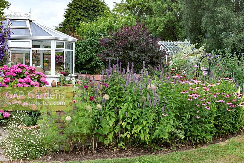 A conservatory surrounded by a flower bed of Cosmos, Agastache and Echinacea - coneflowers