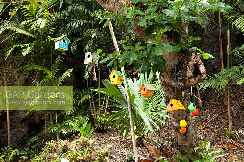 Colourful bird boxes in tropical garden