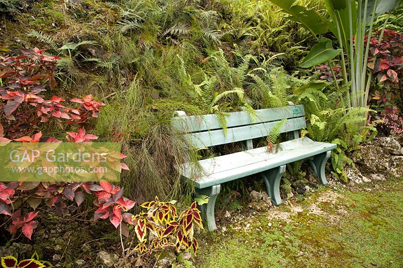 Blue bench in tropical garden