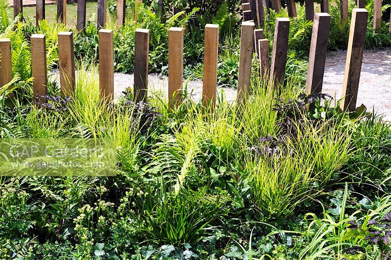 Ferns and grasses with timber posts. Calm In chaos garden, RHS Tatton Park 