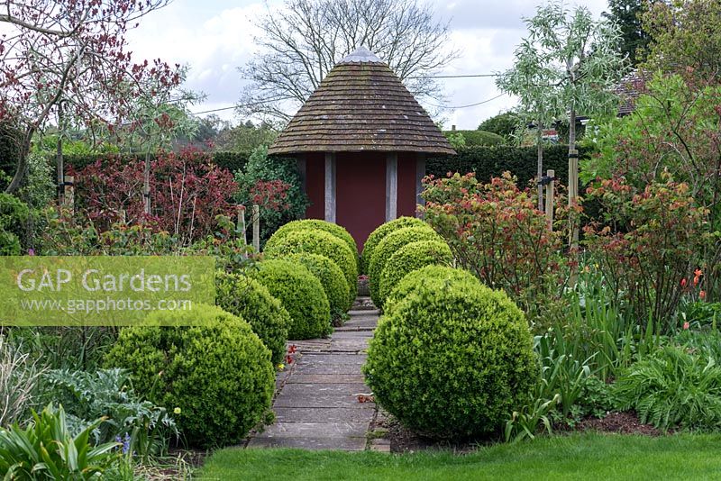 Rows of topiary Buxus balls alongside a path leading to a small summerhouse.