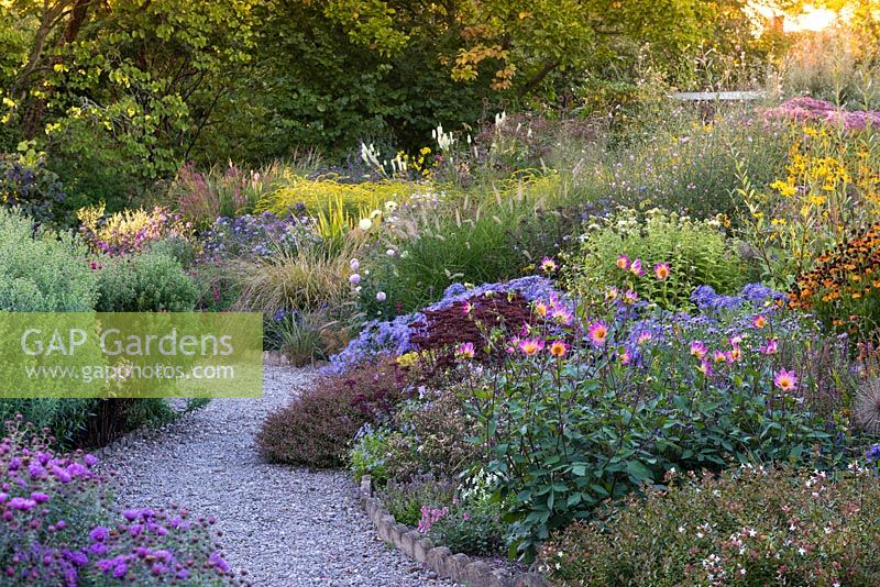 View of flowering borders with curved gravel path.