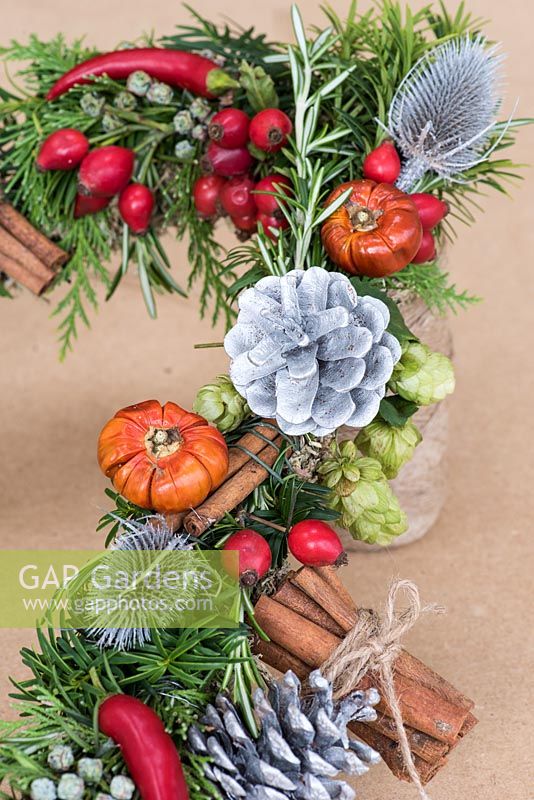 Silver fir cones and teasels with mini pumpkins, hips, chillies, hops and cinnamon sticks.