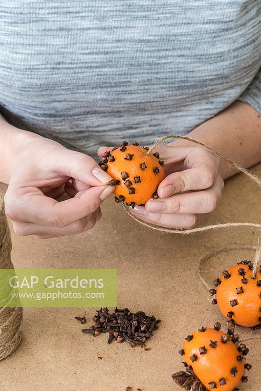 Woman studding clementines with cloves to make scented pomander decorations.