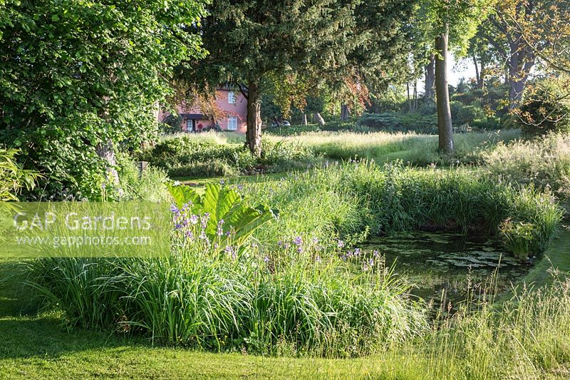 View of pond at David and Loretta Harrison's Garden, Norfolk, UK. 