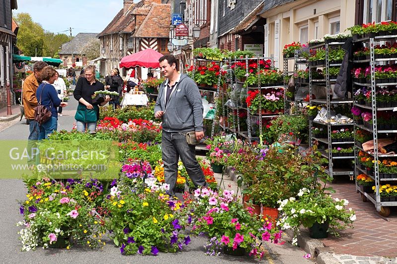 Hanging baskets and bedding plants for sale at a street market plant fair in Beuvron-en-Auge, Normandy, France. 