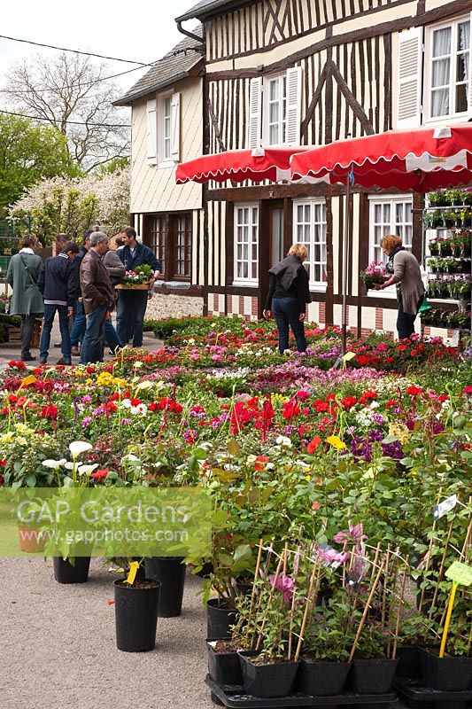 Hanging baskets, shrubs and bedding plants for sale at a street market in Beuvron-en-Auge, Normandy, France