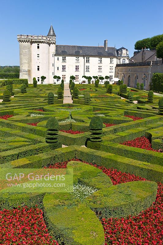 Clipped Buxus sempervirens in Ornamental Garden at Chateau de Villandry, Loire Valley, France