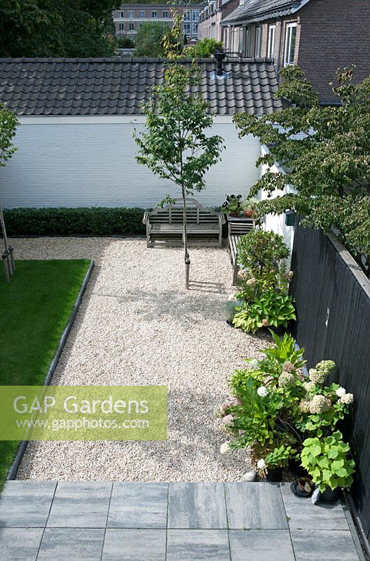View of gravelled area of garden, with benches, young tree and potted shrubs. 