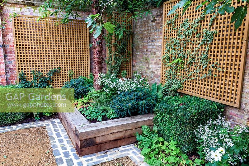 Raised bed planted with shade tolerant perennials and ferns. Garden design by Peter Reader Landscapes.