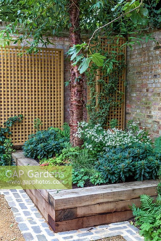 Raised bed planted with shade tolerant perennials and ferns. Garden design by Peter Reader Landscapes.