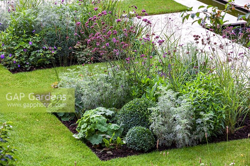 Mixed borders in contemporary garden in Highgate,  London. Garden designed by Peter Reader Landscapes.