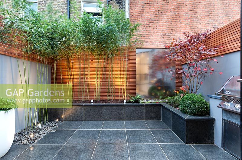 Phyllostachys bissetii and steel water wall with outside lighting, London