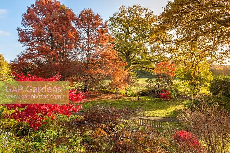 Autumn colour at Borde Hill, West Sussex, UK.