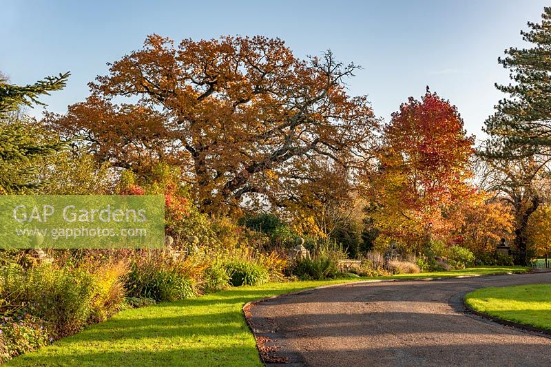 Autumn colour at Borde Hill, West Sussex, UK.