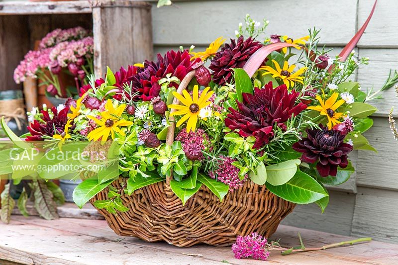 View of finished floral arrangement in wicker basket, with Rudbeckia, Dahlia,
 Sedum and Phormium leaves
