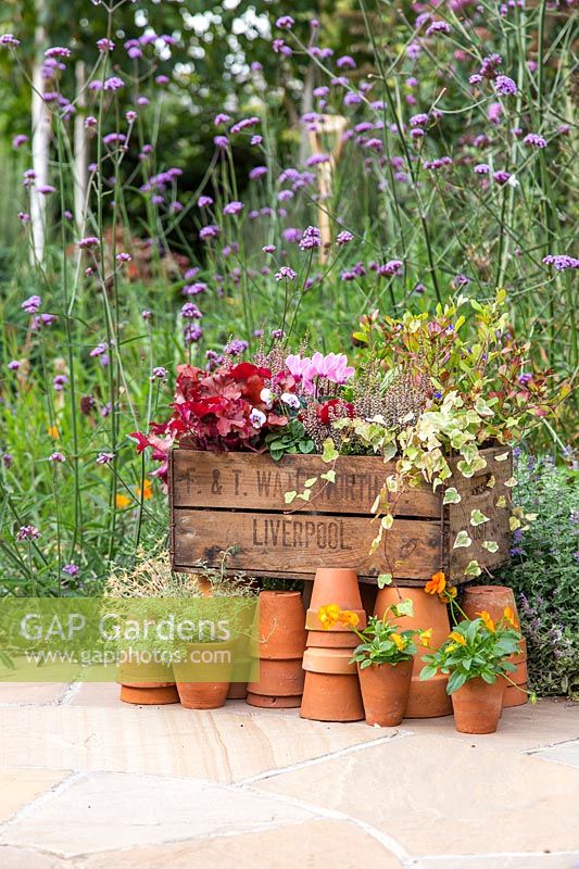 Planted up wooden crate filled with a mixture of colourful plants, backed
 by flowering Verbena bonariensis with stacks of terracotta pots in front