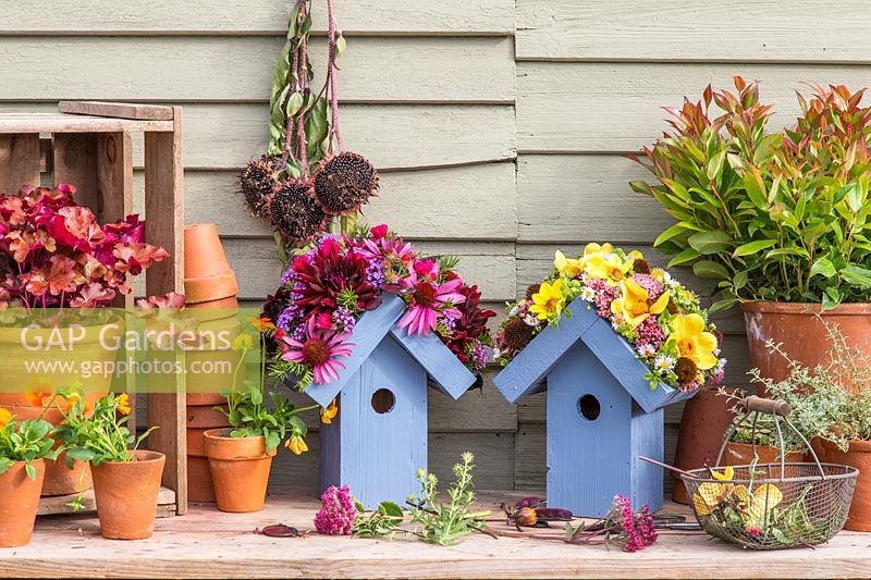Pair of wooden birdboxes with flower embellished roofs on wooden bench with potted plants, terracotta pots and cut flower heads