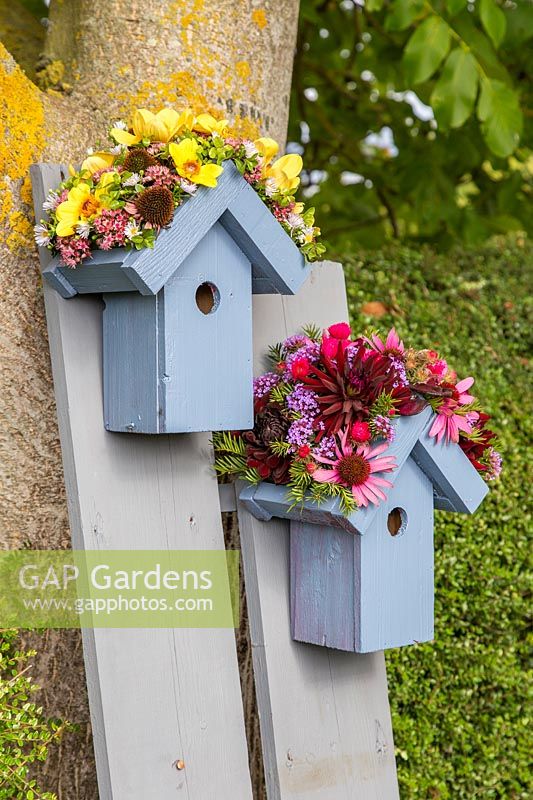 Pair of wooden birdboxes with flower embellished roofs mounted on painted planks