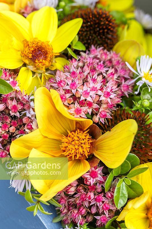Close up of floral arrangement, with pink Sedum flower heads and yellow daisy-type blooms