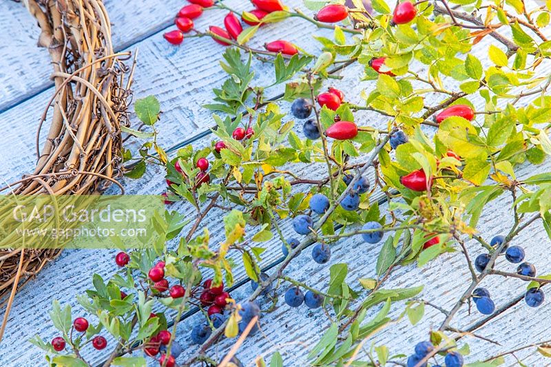 Close up of cut branches with sloes, berries and hips next to willow wreath form
