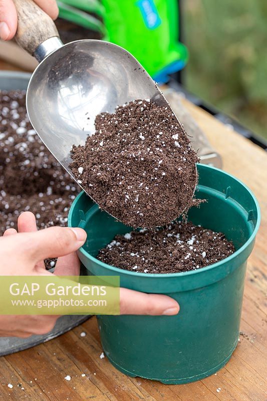 Woman scooping free-draining soil into green plastic plant pot.
