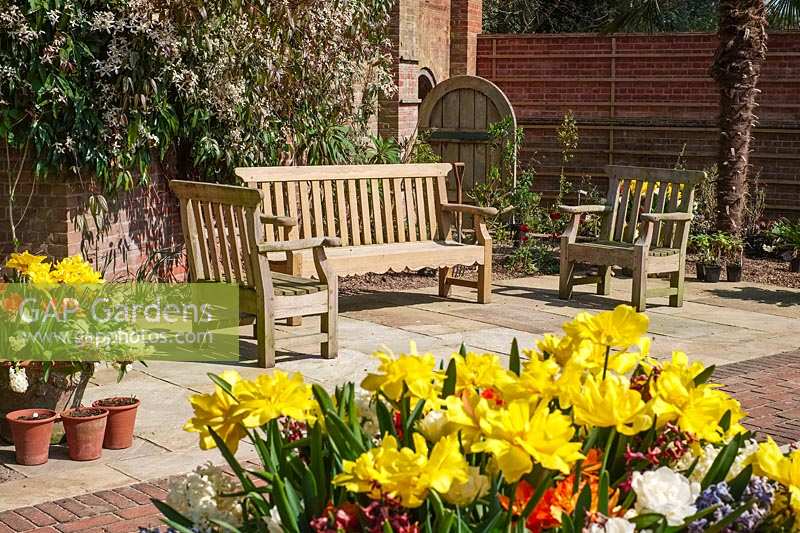 Containers of tulips and hyacinths in paved sitting area at East Ruston Old Vicarage Gardens, Norfolk, UK. 