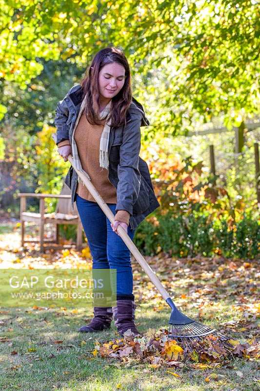Woman raking up leaves in autumnal garden.